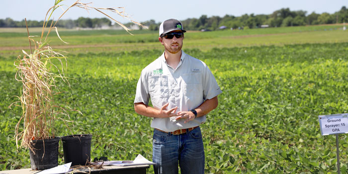 person talking in front off soybean field